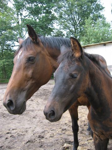 Zamira met moeder Ramira