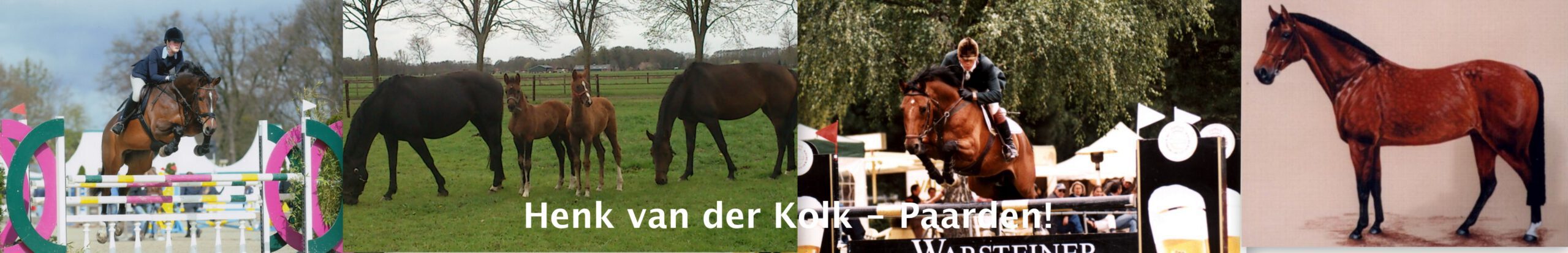 Henk van der Kolk – Paarden