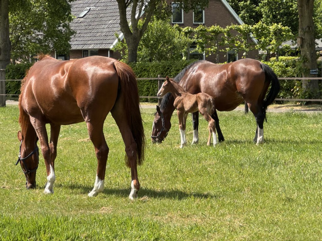 Vince met moeder Heather en Rhea